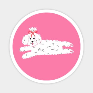 Cute maltipoo coquette dog with bow in clouds illustration. dog lover art gift Magnet